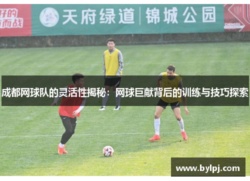 成都网球队的灵活性揭秘：网球巨献背后的训练与技巧探索