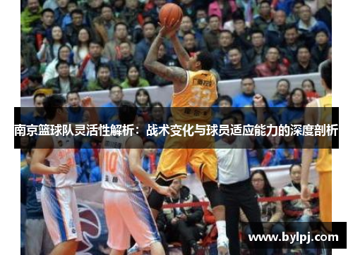 南京篮球队灵活性解析：战术变化与球员适应能力的深度剖析
